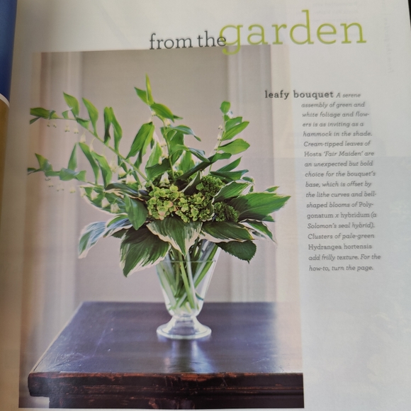 July 2003 | Martha Stewart Living magazine 🇺🇸 - Picture 7 of 16